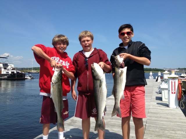 Striped bass Merrimack River, Newburyport MA